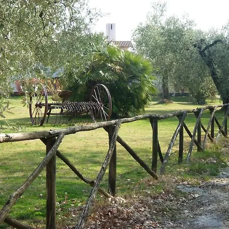 Villa Prato Amato Montemaggiore (Rome)